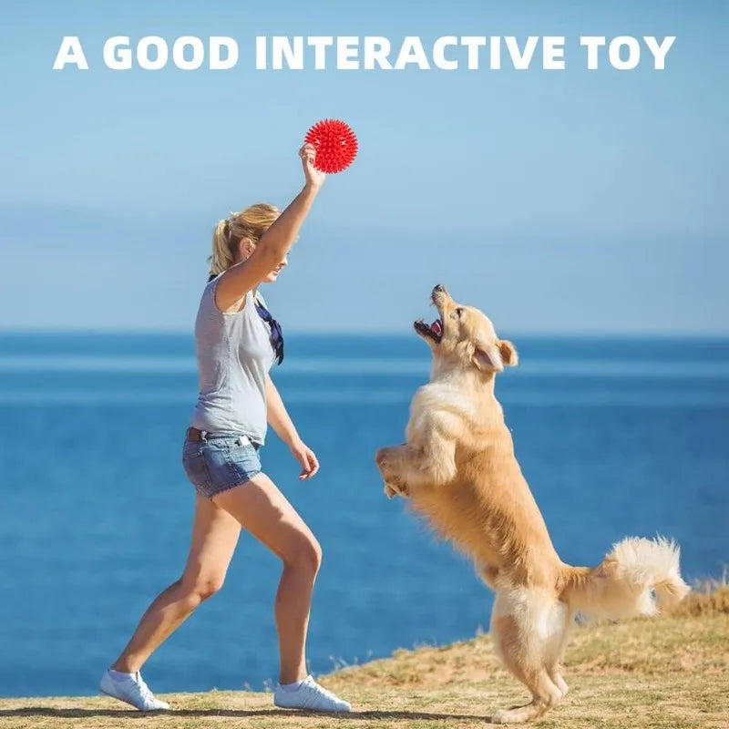 4.5-inch dog ball toy, suitable for medium to large dogs, 4-piece durable dog toy, prick dog ball for cleaning teeth