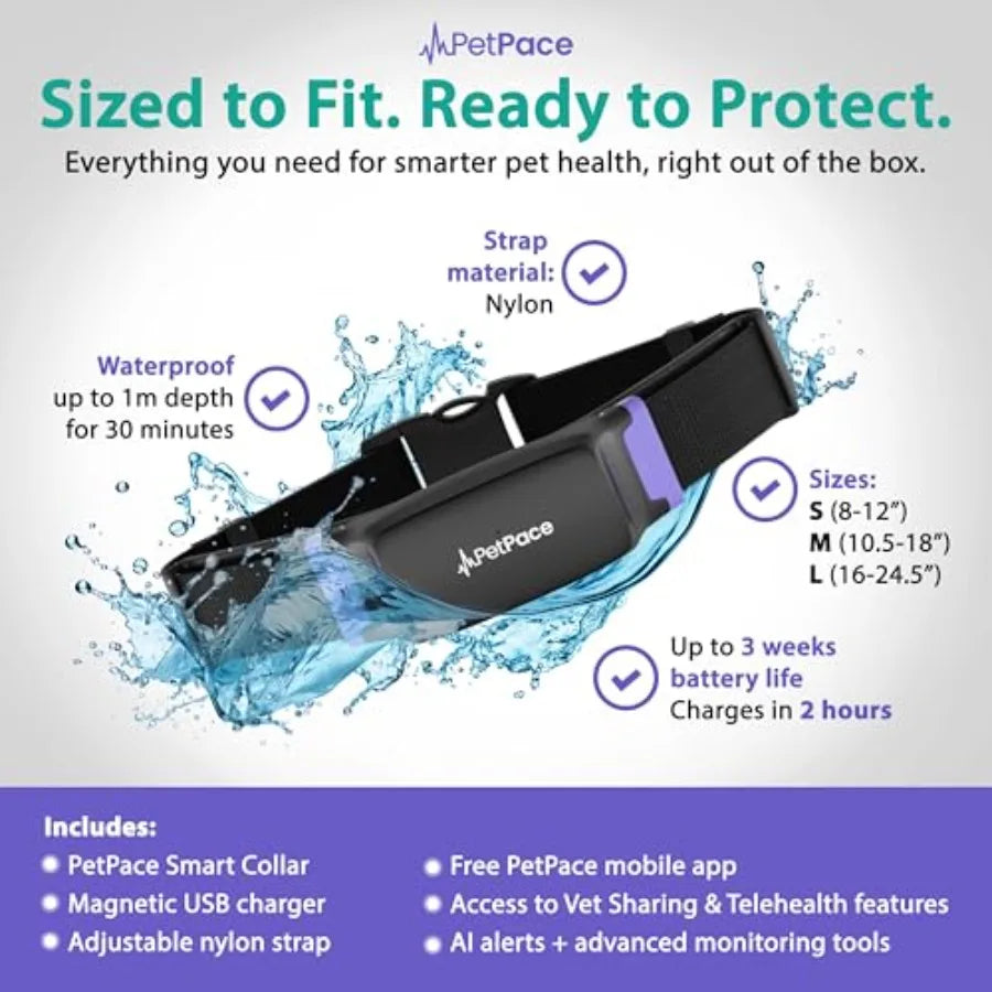 AI Health Collar for Dogs with 24/7 Vital Signs Monitoring Pain Seizure Alerts GPS Tracking Telehealth Consults Vet Sharing App