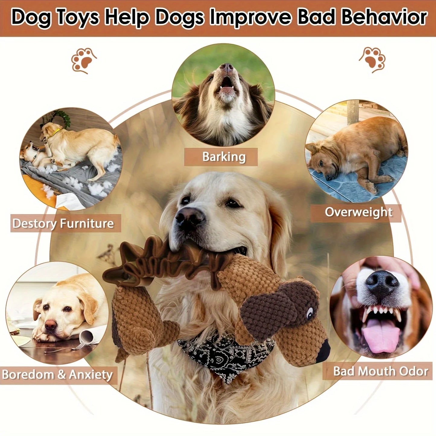 Pack Of 2 Bite-Resistant Plush Dog Toys With Squeaks, Cute Squeaky Dog Toys, Stuffed Pet Play Accessories, Fun Design Dog Chew T
