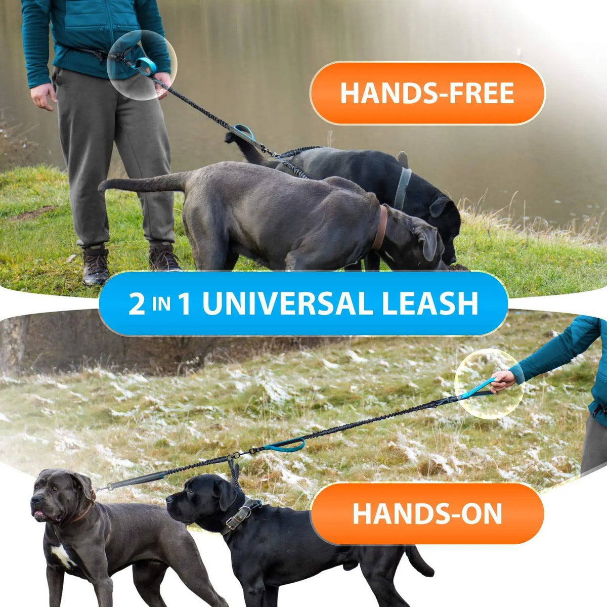 Hands Free Double Dog Leash Reflective Dual Lead for Two Dogs Padded Handle Anti-tangle Walking Rope Safe Stitches Pet Outdoor