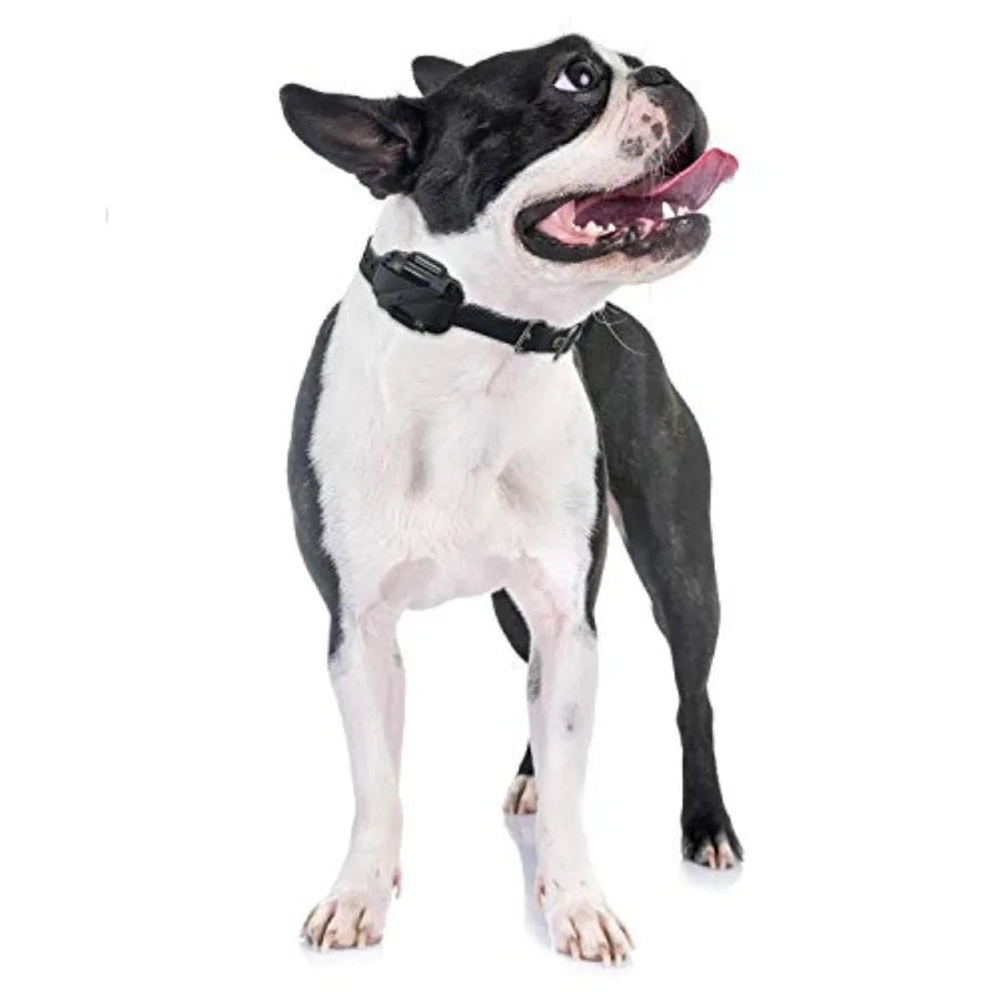 Add-A-Dog Receiver Collar for ET-300/ET-400/EZ-900/PE-900 training systems: yellow 3/4 Biothane strap, expands 1-dog to 2-dog s