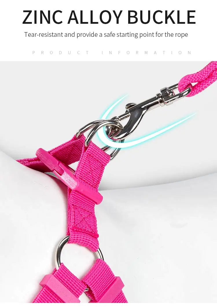 Cat Dog Harness Leash Set for Small Medium Dog Adjustable Pet Harness Reflective Breathable Outdoor Walking Pet accessories