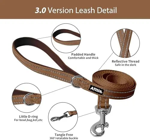 Adjustable harness & leash set for dogs, comfortable padded vest, easy fit for small/medium pets. SEO title: "Adjustable Dog Har