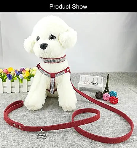 Trendy Newtensina Dog Collar Set – Fashion Harness & Leash for Dogs, Red XS  

SEO optimized: dog collar set, fashion harness, l