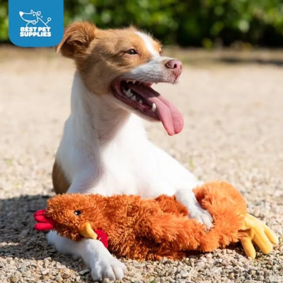 Interactive Squeaky Dog Chew Toy, Ideal Dog Toys for Chewers,,and Dogs, and Fetch Lovers