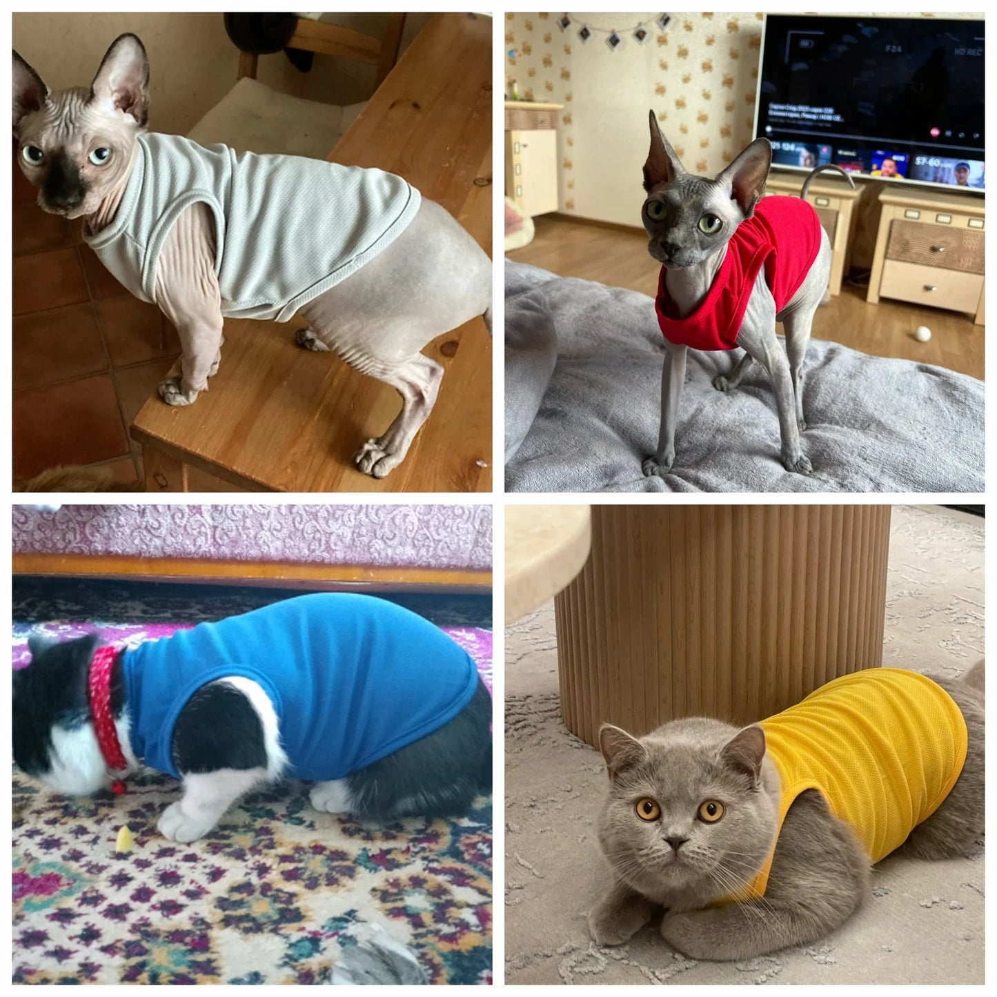 Wang Shan Meow Summer Dog Vest Shirt For Small Dogs