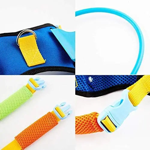 Protect your pet with Blind Dog Harness Vest – Safe Guide for Vision Loss & Collisions