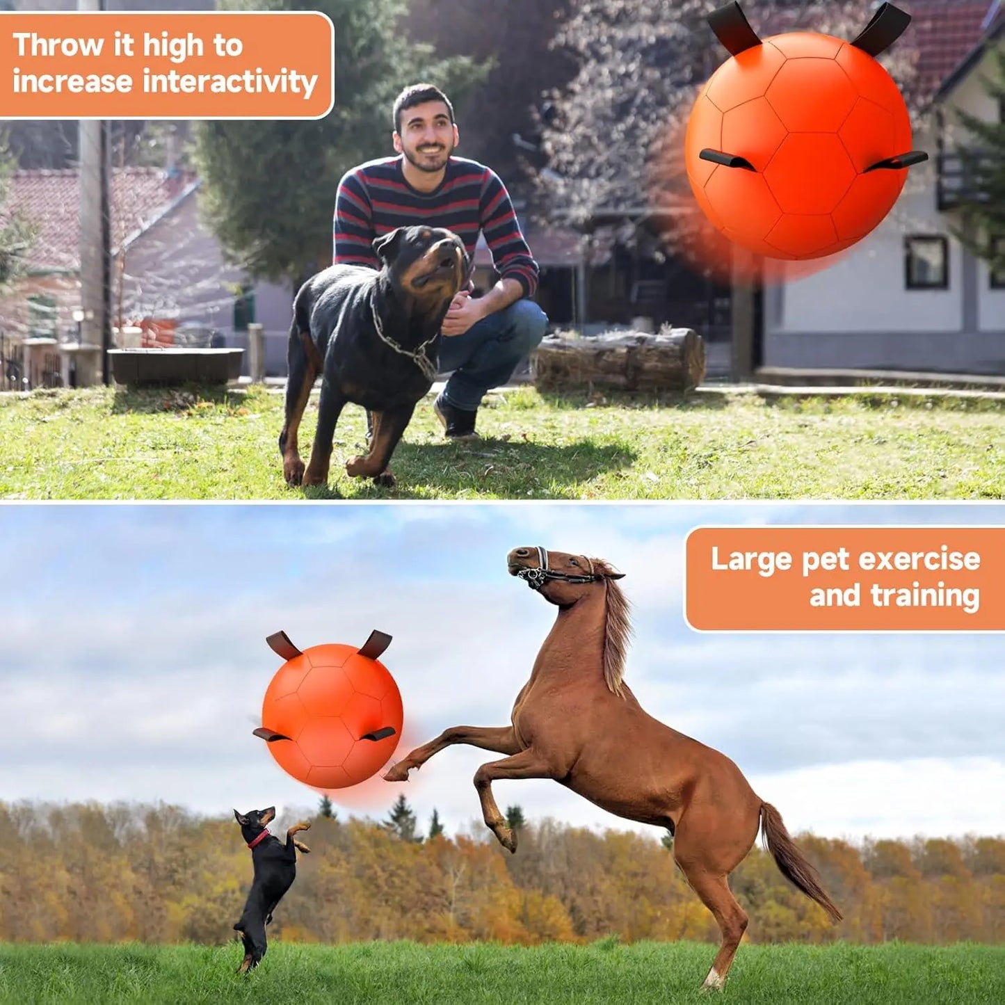 25 Inch Dog Herding Ball with Straps, Giant Toy for Australian Shepherd, Orange