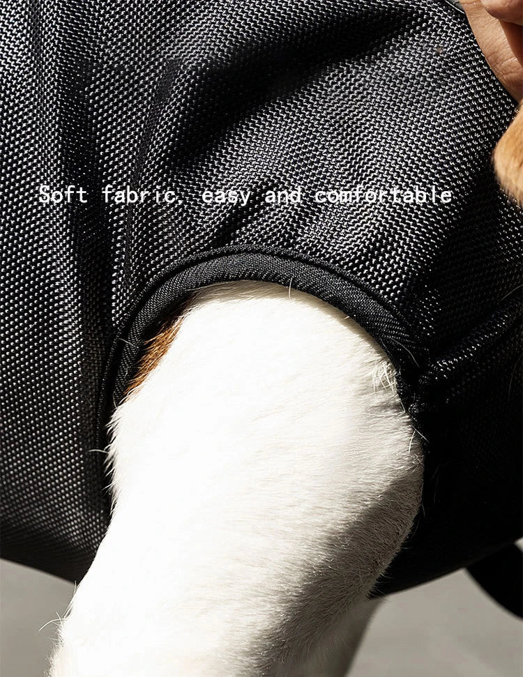 New dog backpack for outdoor use, double shoulder strap portable horizontal pet backpack with auxiliary straps, pet carrier for