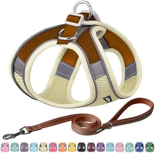 Adjustable harness & leash set for dogs, comfortable padded vest, easy fit for small/medium pets. SEO title: "Adjustable Dog Har